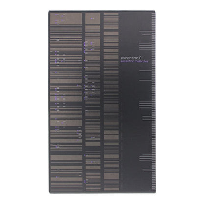 Escentric Molecules Escentric 01 100ml Eau De Toilette Spray for Unisex