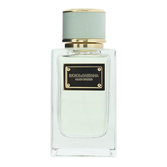 Dolce & Gabbana Velvet Infusion 100ml Eau de Parfum Spray for Unisex