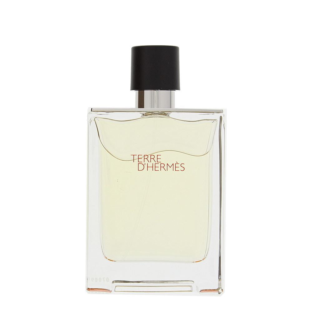 Hermes Terre D'hermes 100ml Eau De Toilette Spray for Him